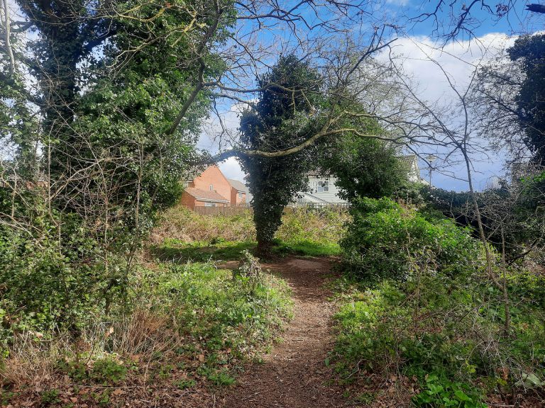 Read more about the article Bombard Copse Appeal