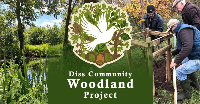 Read more about the article Would you like to help steer this project forward?